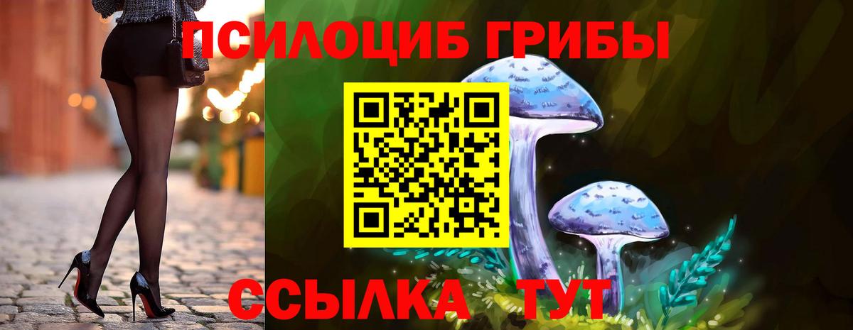 Кингисепп  Псилоцибиновые грибы GOLDEN TEACHER  Вход с VPN 